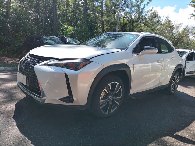 LOTE 061 UX250H DYNAMIC